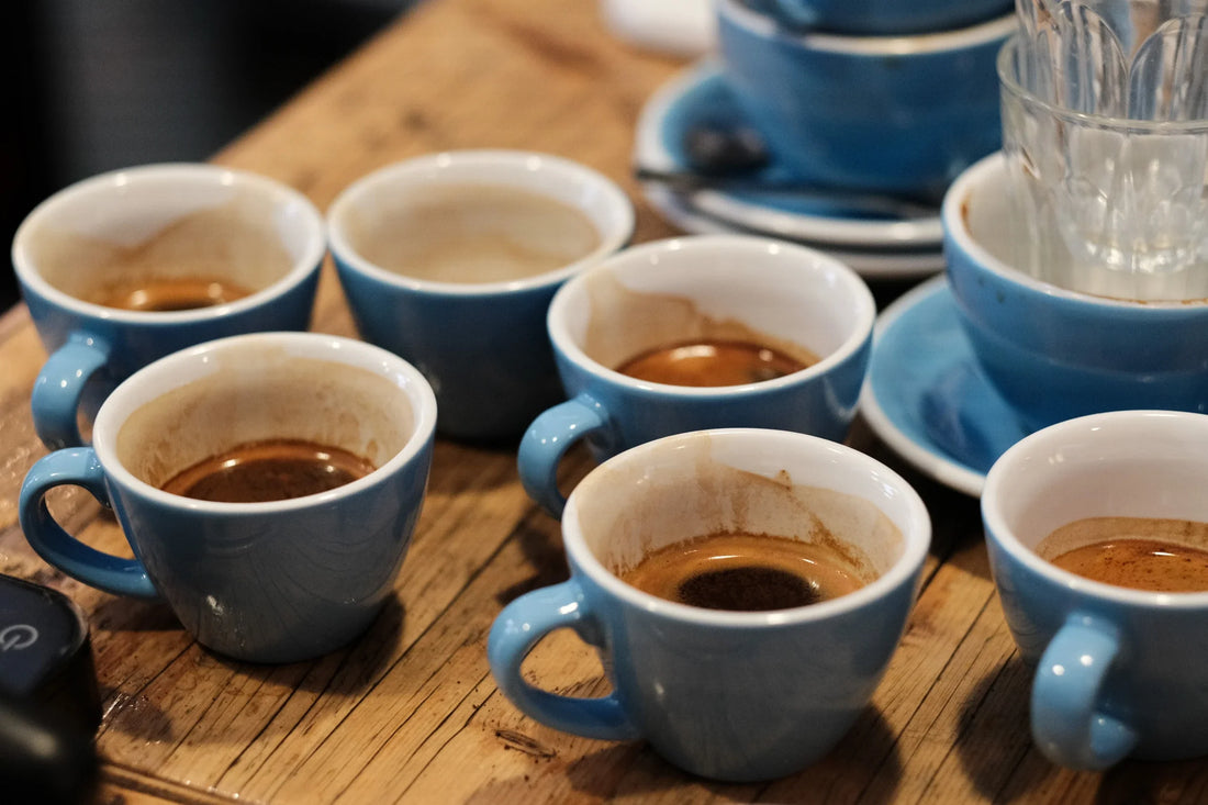 Kaffee und Espresso Cupping